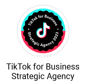 Readyplanet TikTok for Business Strategic Agency Silver